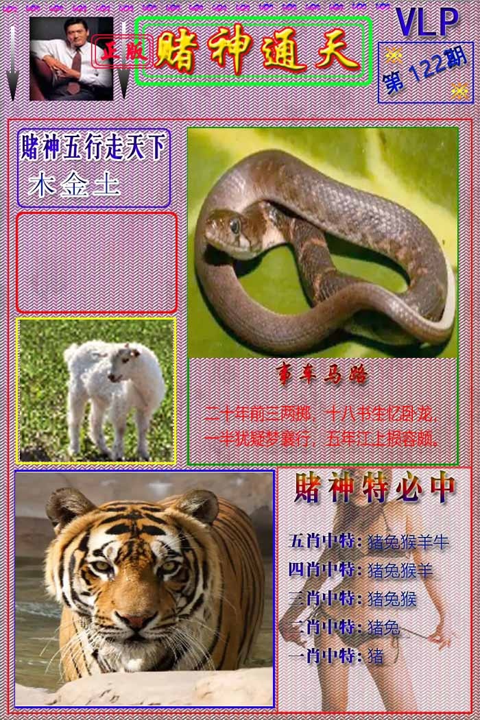 六合彩122期赌神通天报