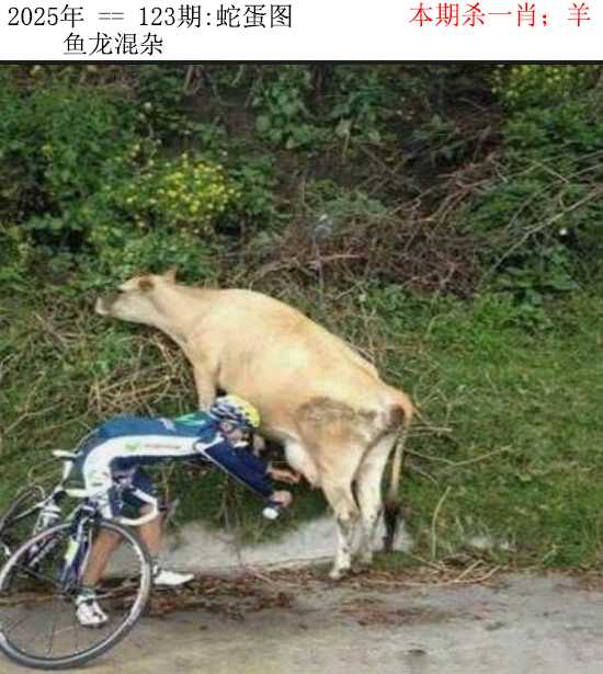 六合彩123期正版蛇蛋图