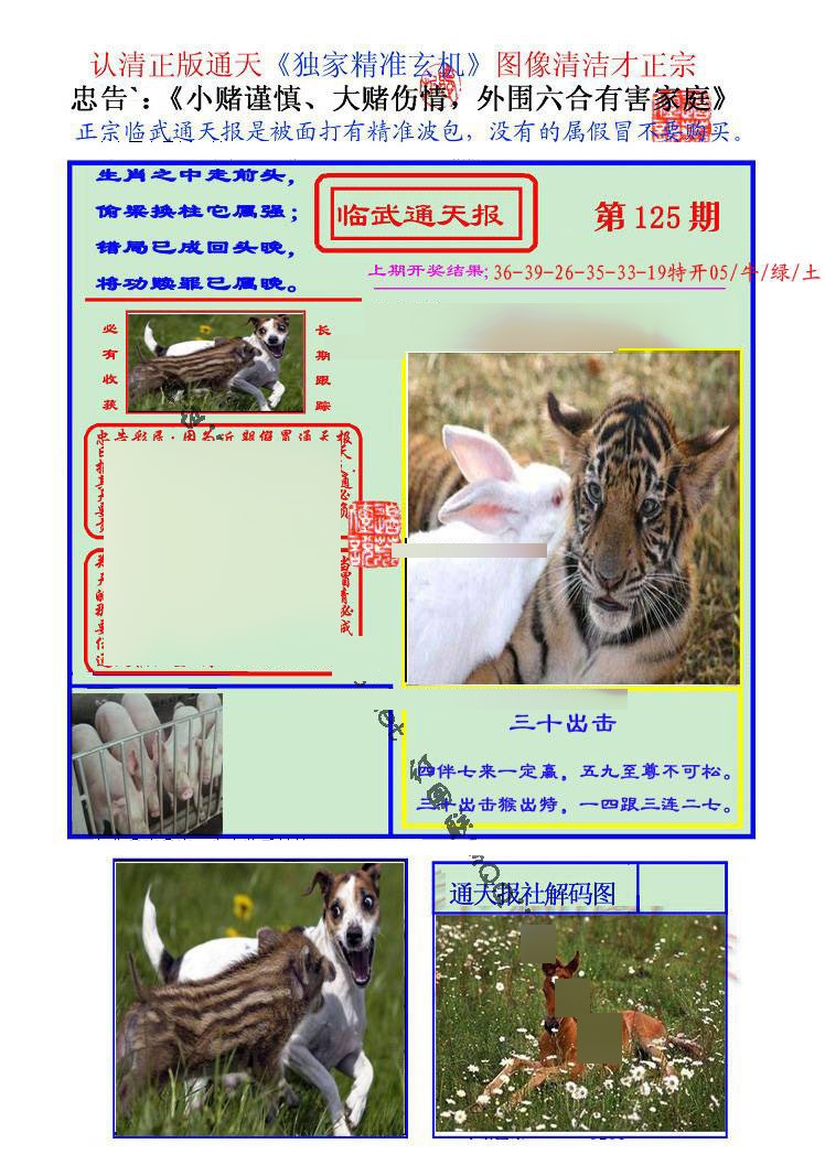 六合彩125期临武通天报
