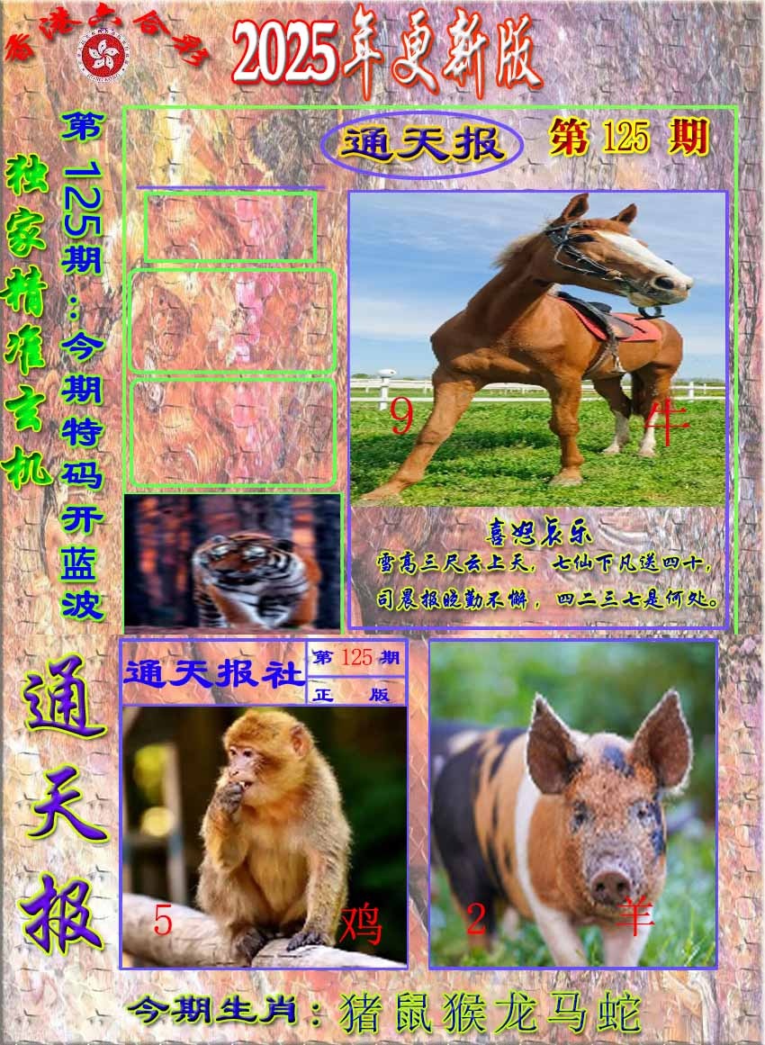 六合彩125期新通报