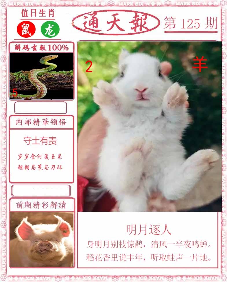 六合彩125期正版通天报