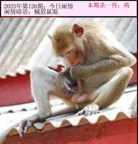 六合彩126期今日闲情