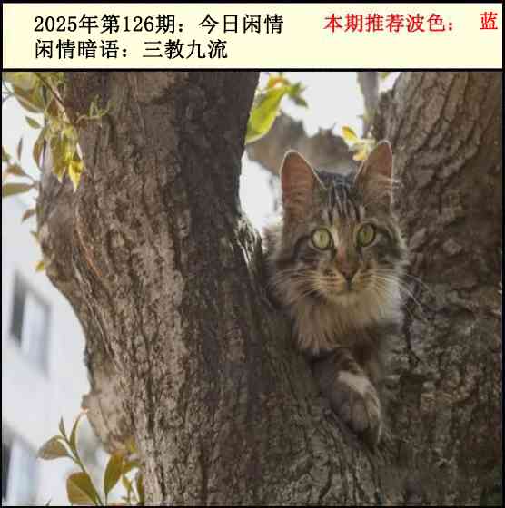 六合彩126期今日闲情2