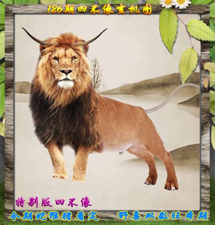 六合彩126期四不像特别版