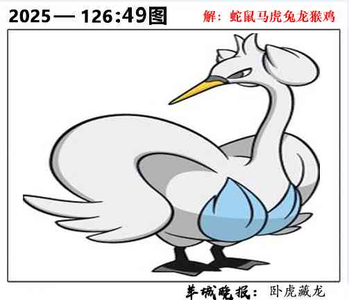 六合彩126期49图