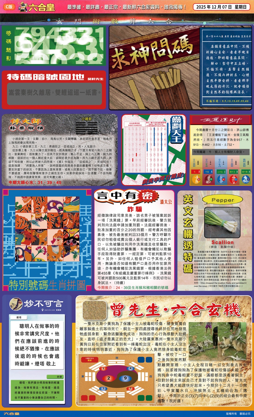 六合彩128期六合皇(港版)C