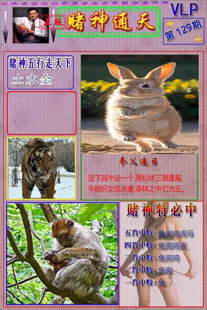 六合彩129期赌神通天报
