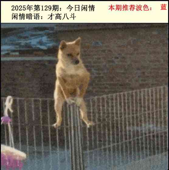 六合彩129期今日闲情2