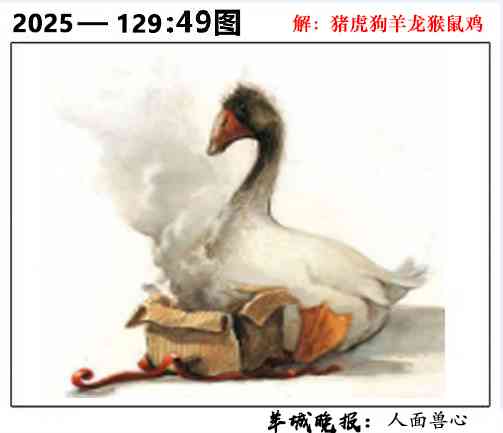 六合彩129期49图