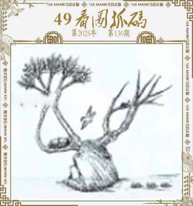 六合彩130期49看图抓码