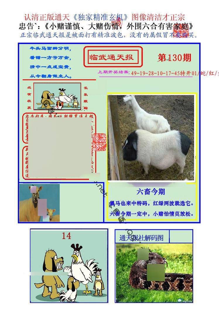 六合彩130期临武通天报