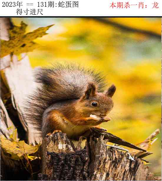 六合彩131期正版蛇蛋图