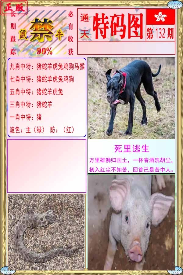 六合彩132期特码图