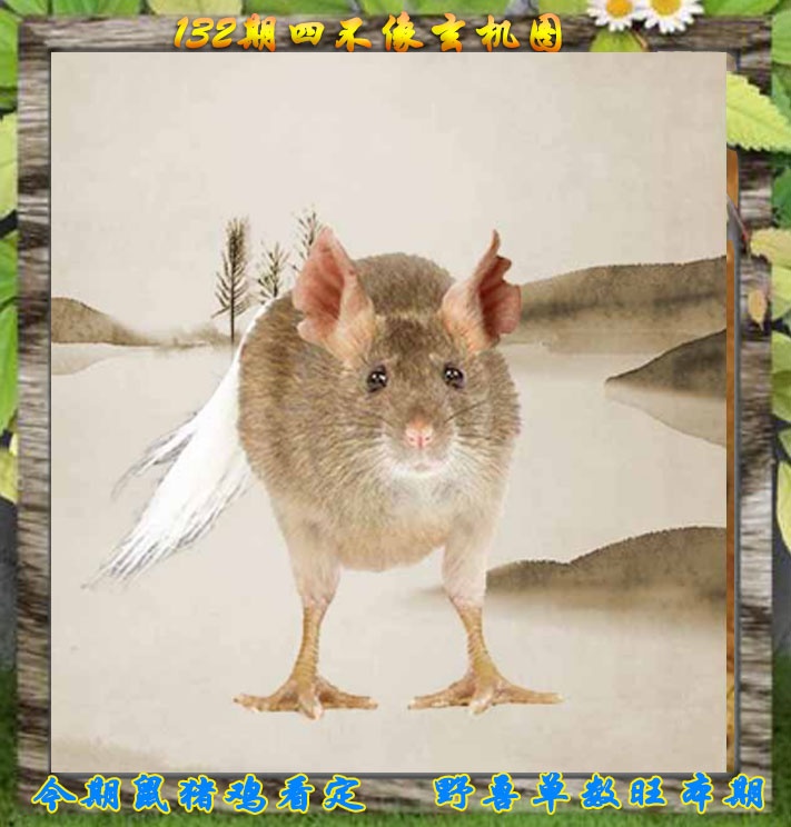 六合彩132期四不像特别版