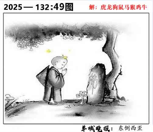 六合彩132期49图