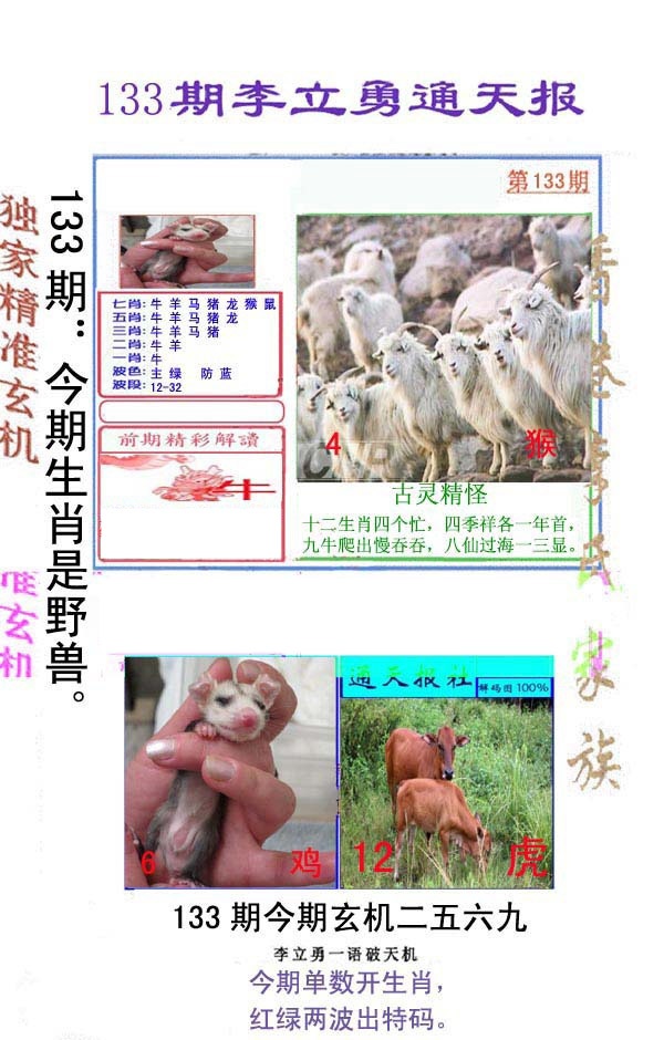 六合彩133期李立勇通天报