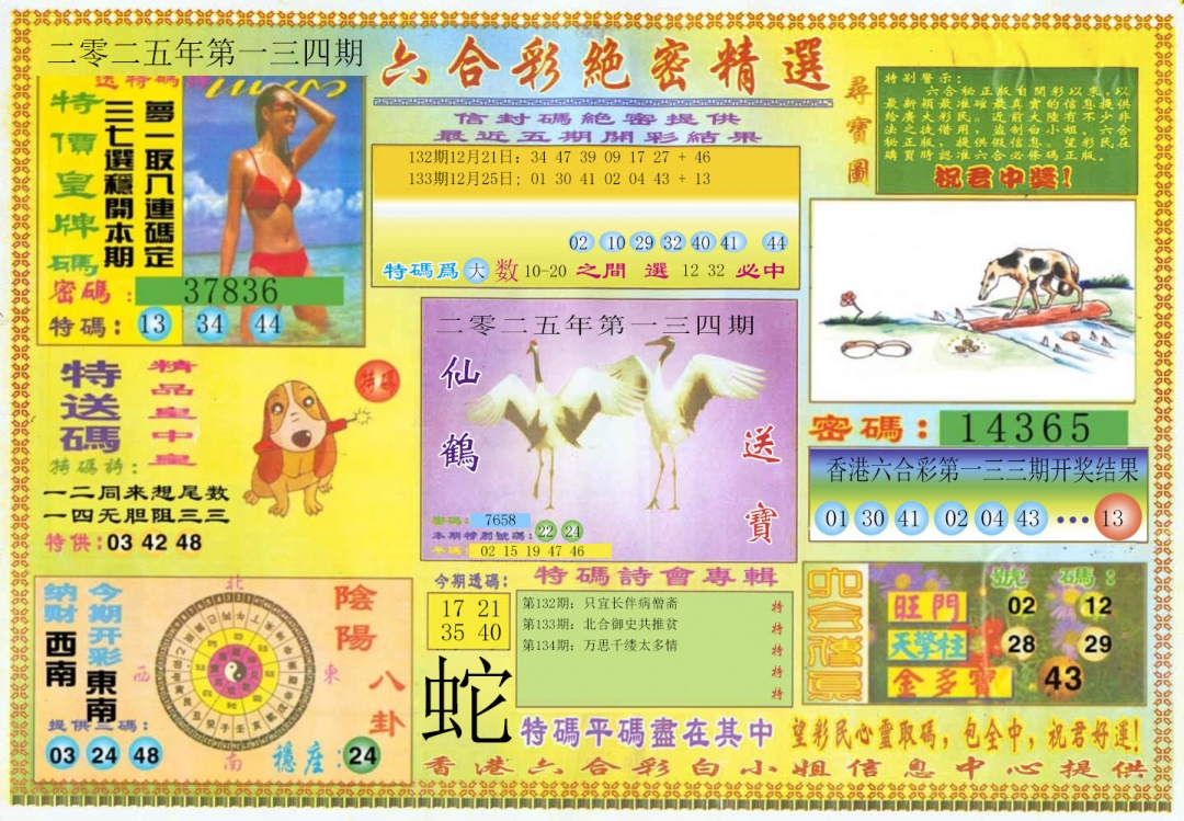 六合彩134期绝密精选A