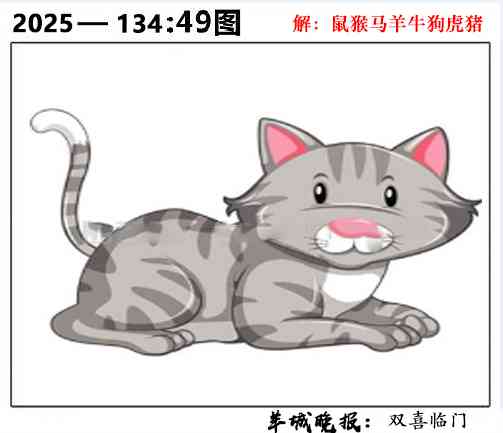 六合彩134期49图