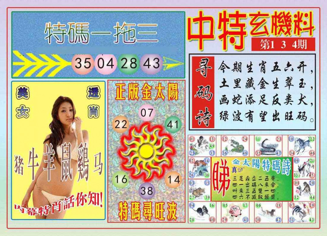 六合彩134期中特玄机料