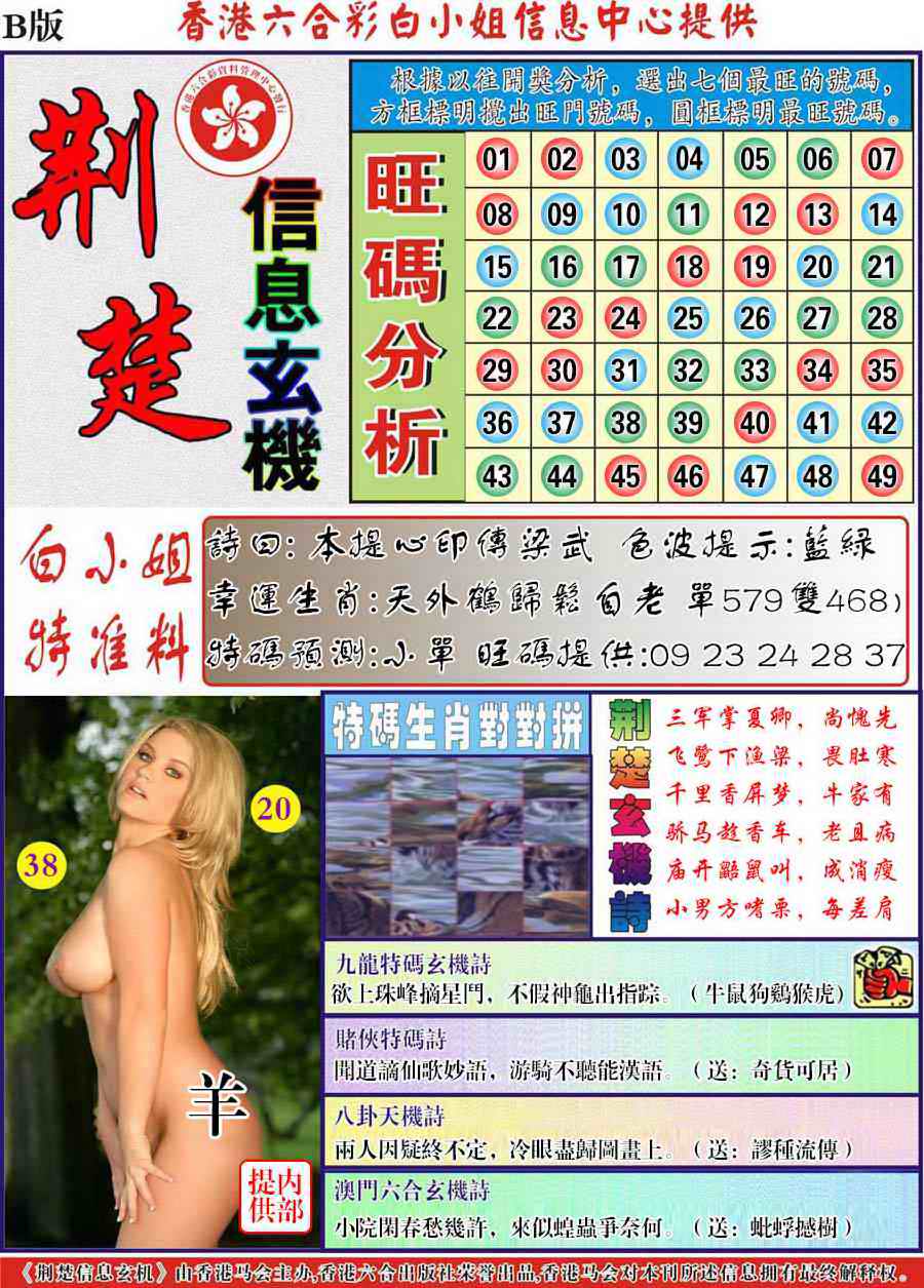 六合彩065期荆楚信息玄机B