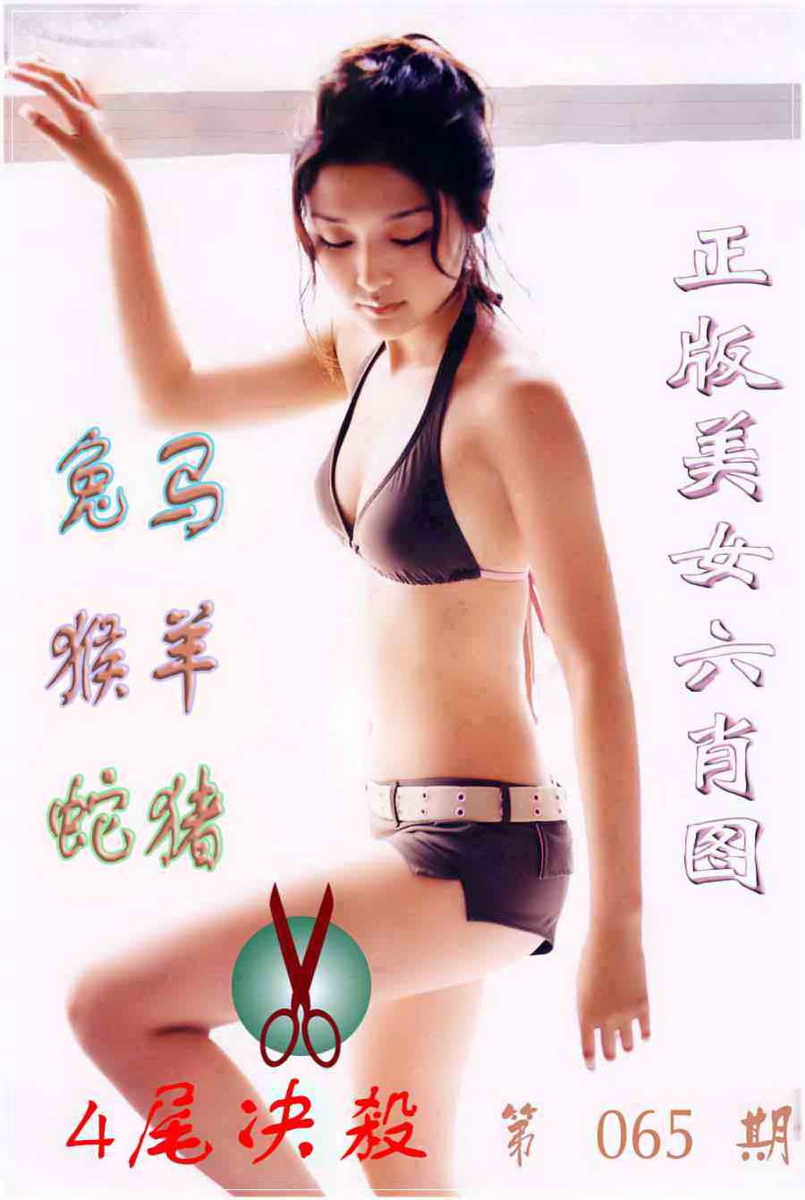 六合彩065期美女六肖图B