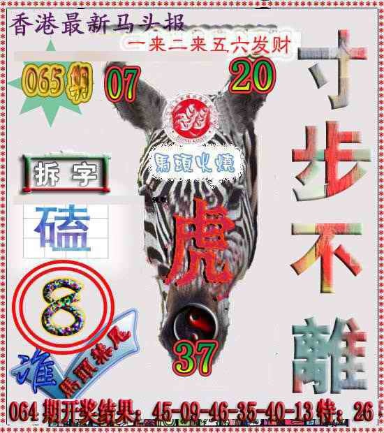 六合彩065期香港马头报