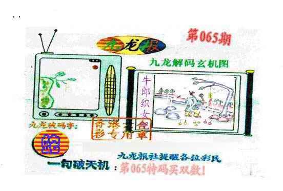 六合彩065期九龙报