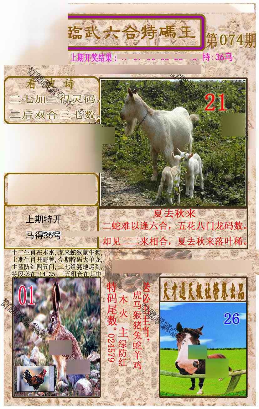 六合彩074期临武六合特码王