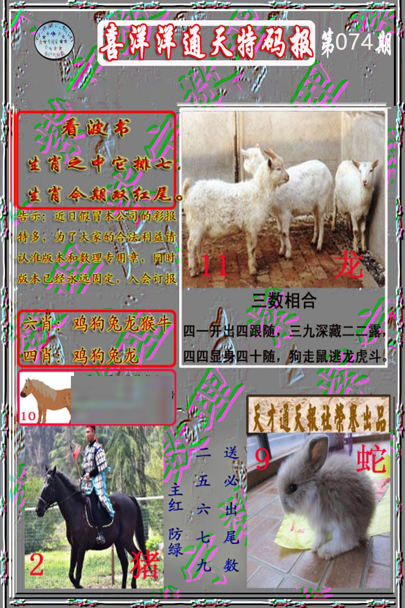 六合彩074期洋通报