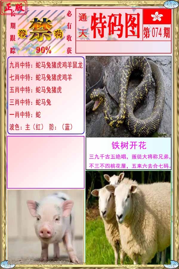 六合彩074期特码图