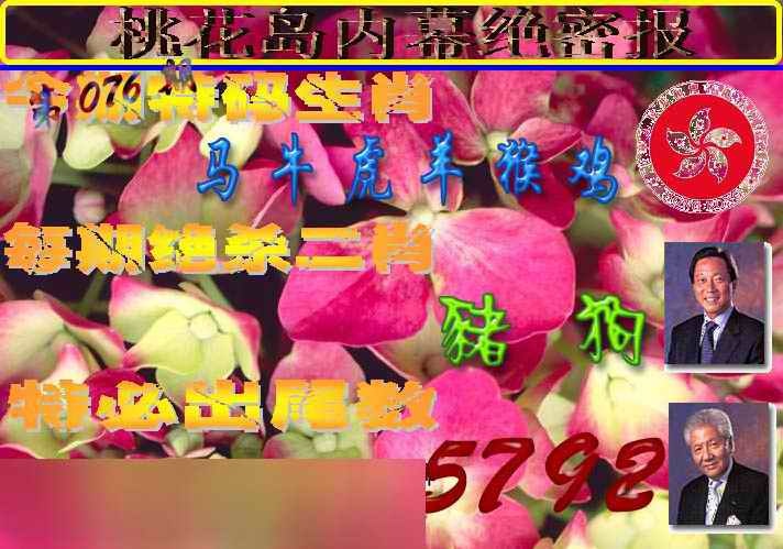 六合彩076期桃花岛内幕报