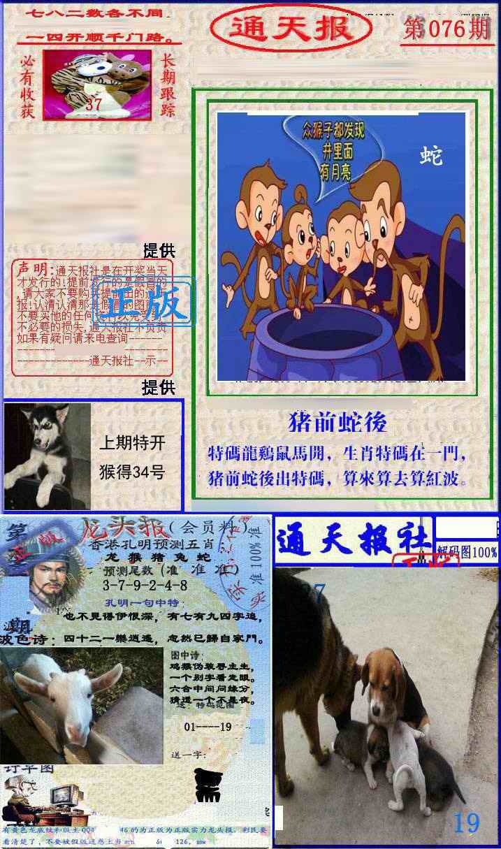 六合彩076期实力通天报