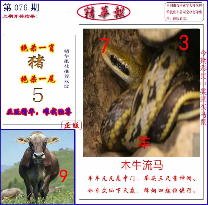 六合彩076期新精华报报