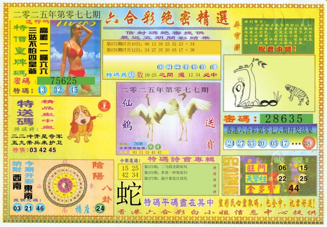 六合彩077期绝密精选A
