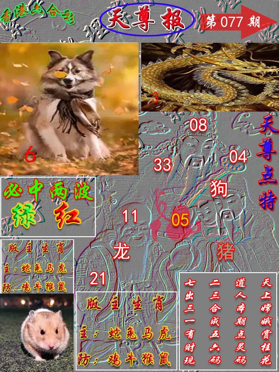 六合彩077期天尊报