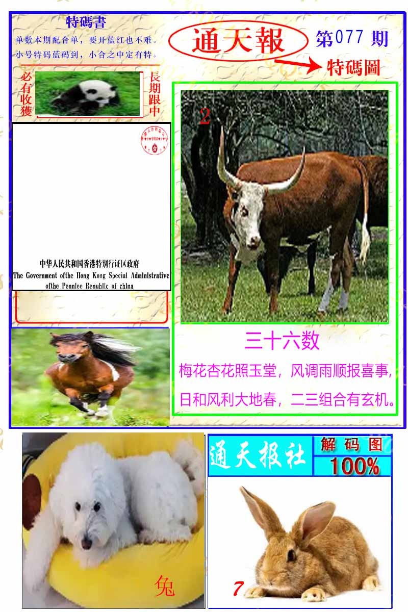 六合彩077期通天特解图