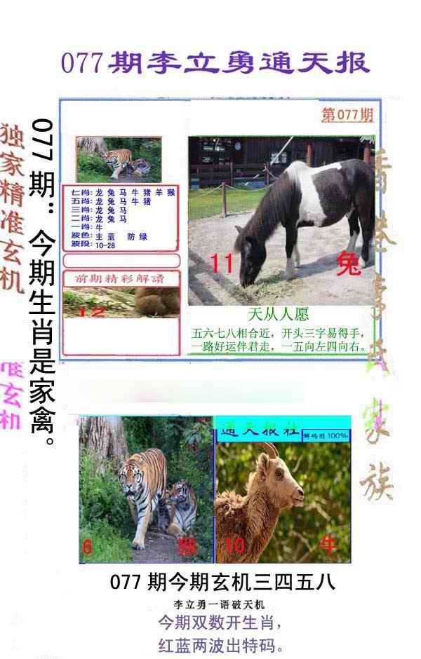 六合彩077期李立勇通天报