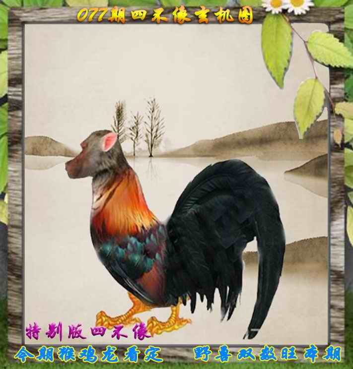 六合彩077期四不像特别版