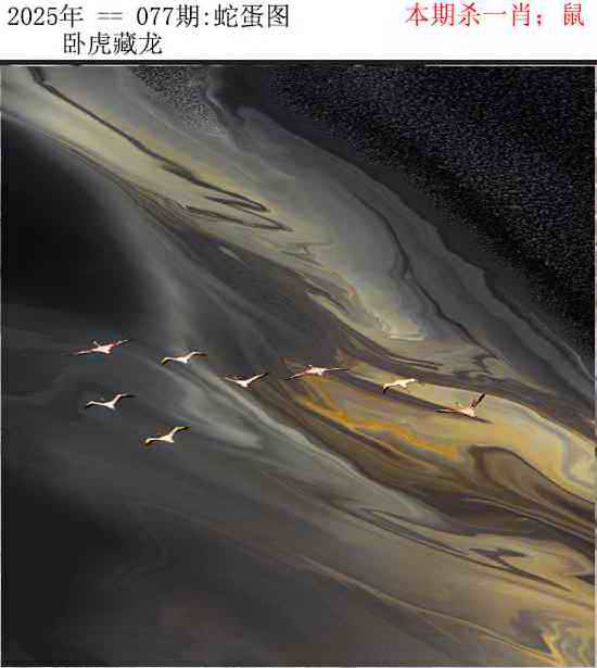 六合彩077期正版蛇蛋图