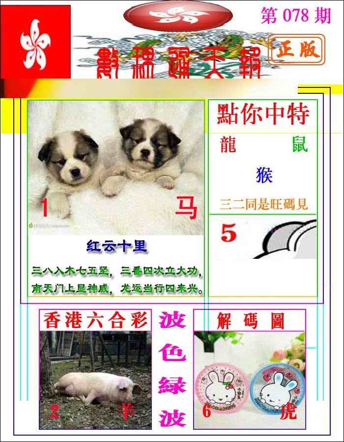 六合彩078期数理通天