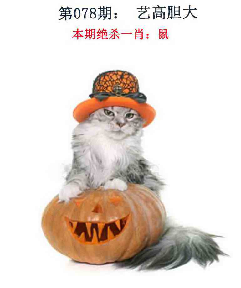 六合彩078期金钱豹自有真功夫