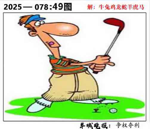 六合彩078期49图