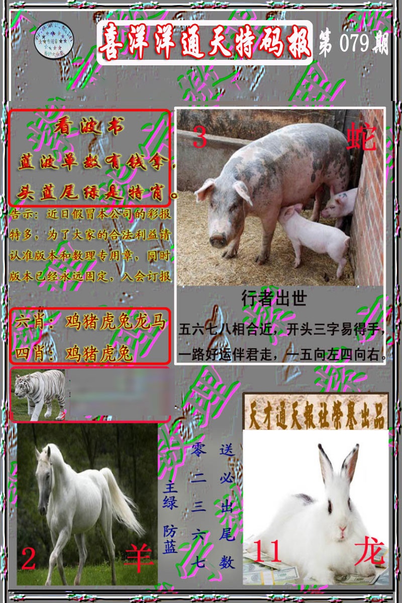 六合彩079期洋通报