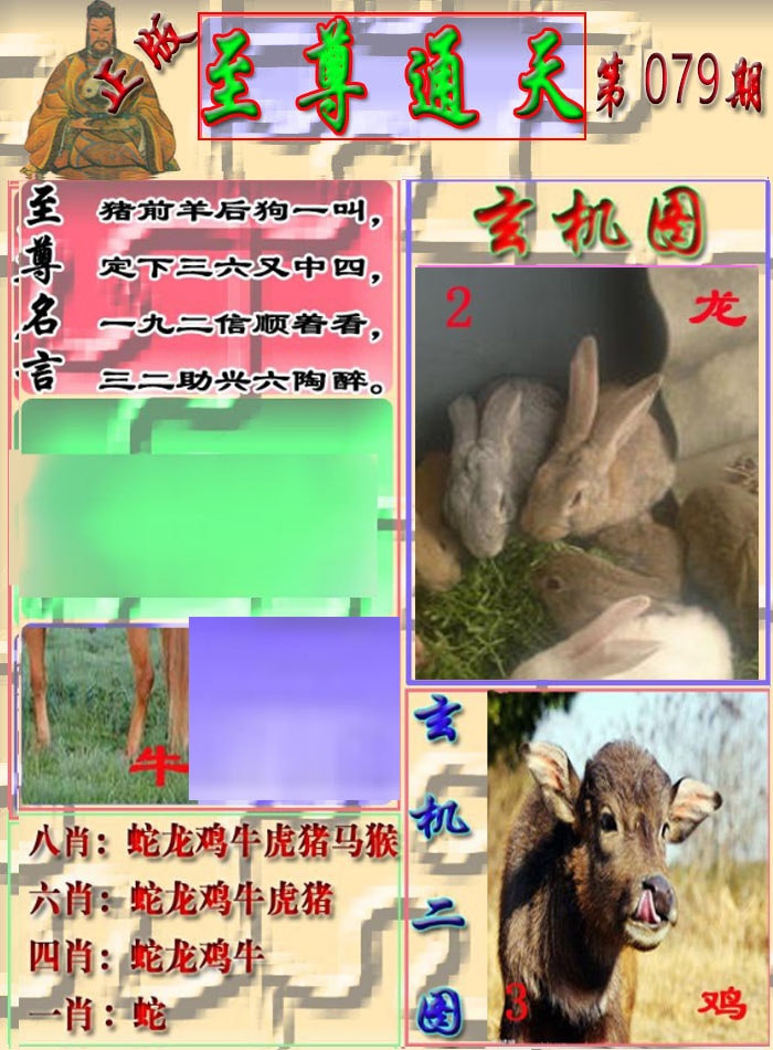 六合彩079期至通报