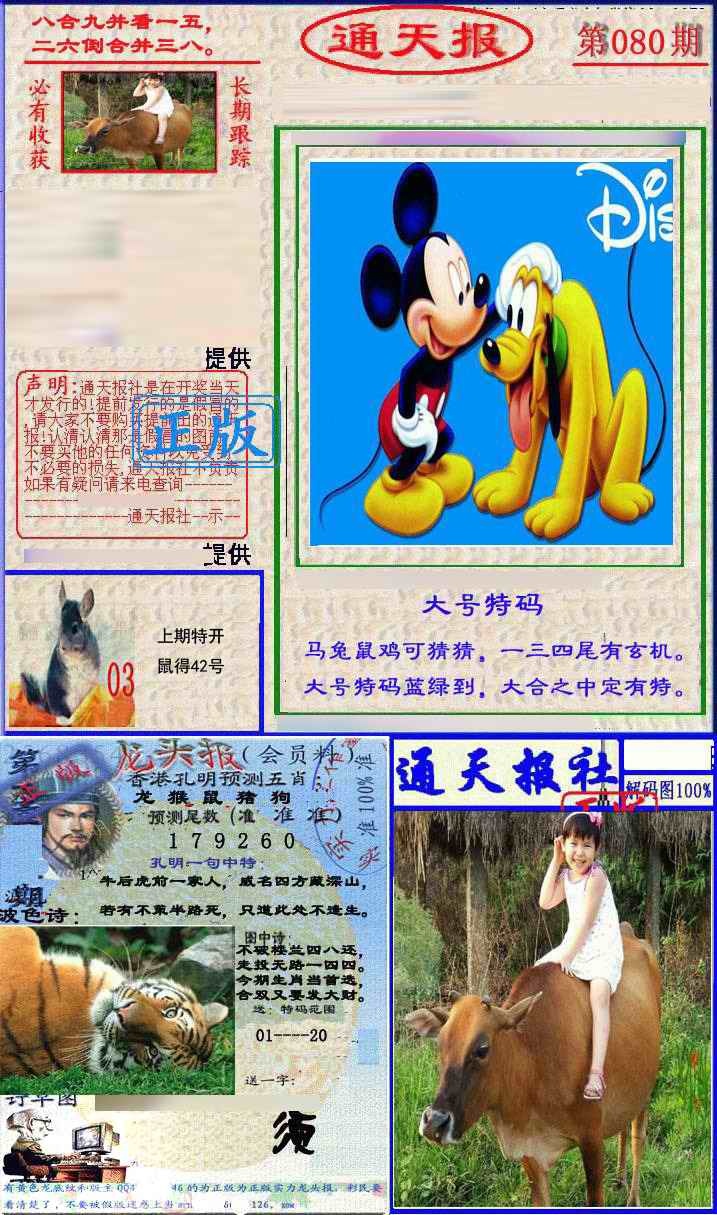 六合彩080期实力通天报