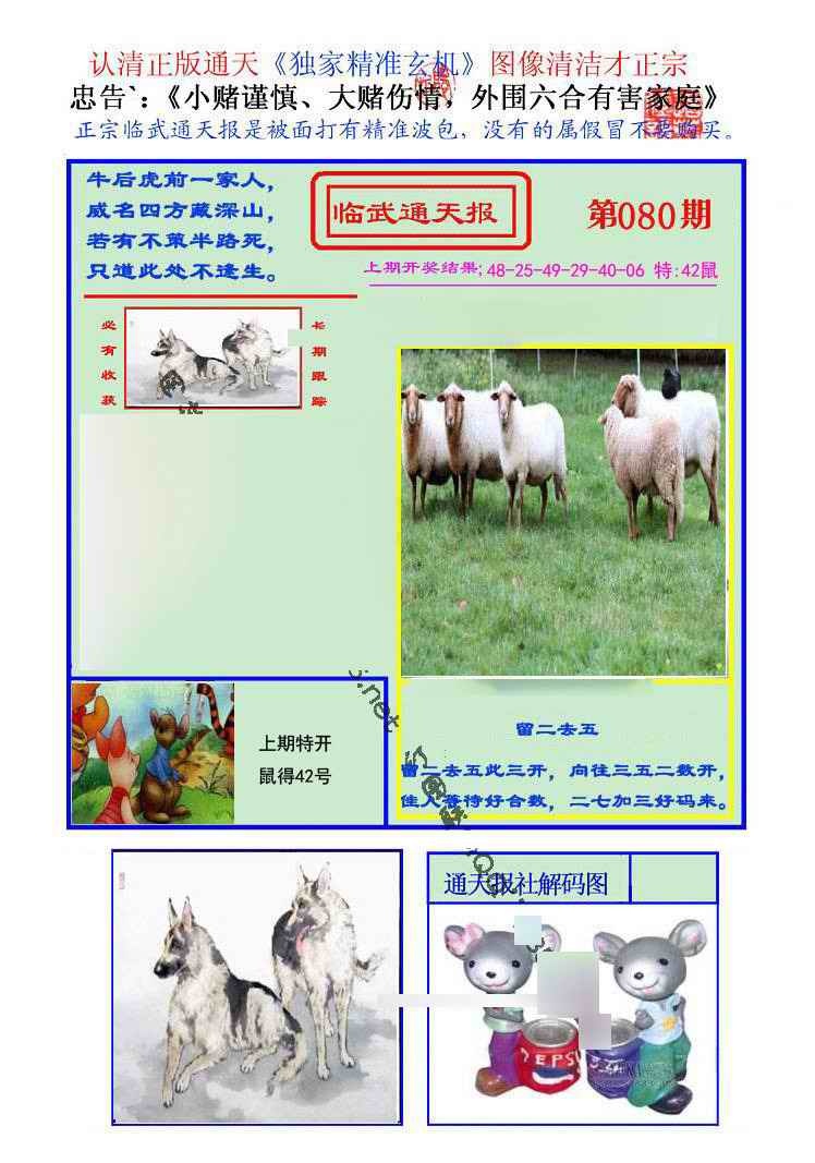 六合彩080期临武通天报
