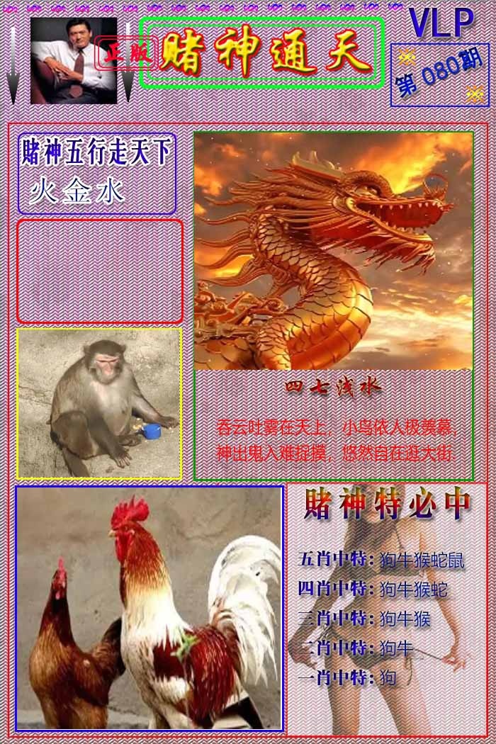 六合彩080期赌神通天报