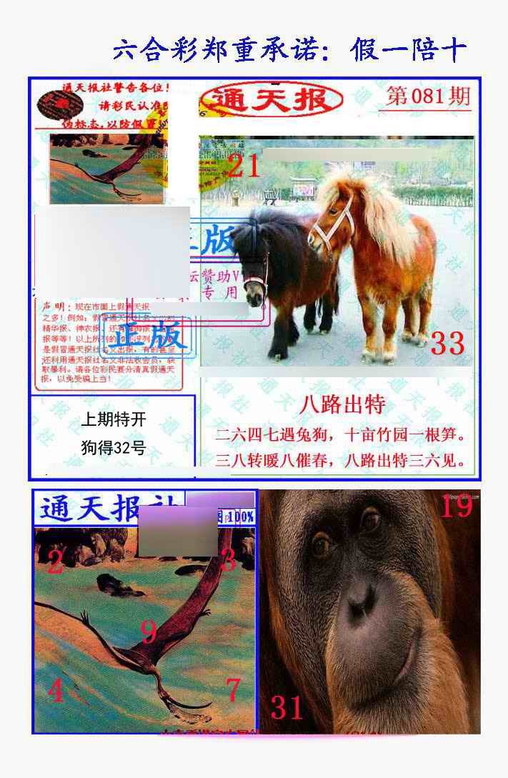 六合彩081期假一陪十通天报
