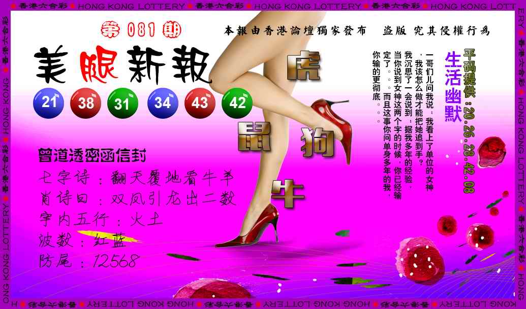 六合彩081期美腿新报