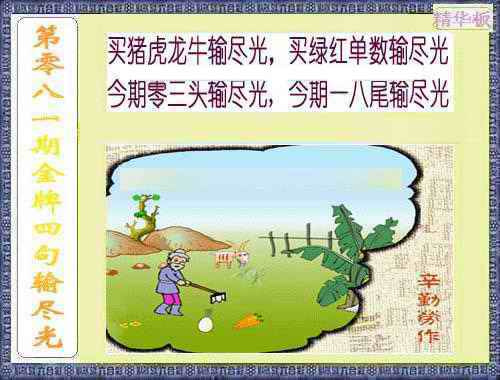 六合彩081期金牌四句输尽光